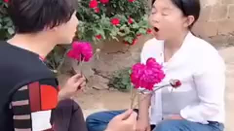 Trending viral videos Rumble