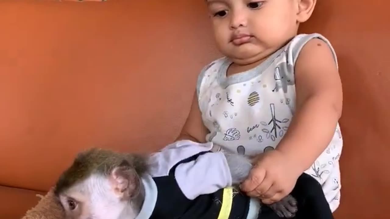 dont disturb my nap | cute babies | cute funny