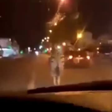 Zoo animals running the streets in France