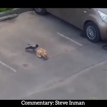 Teamwork Makes the Dream Work