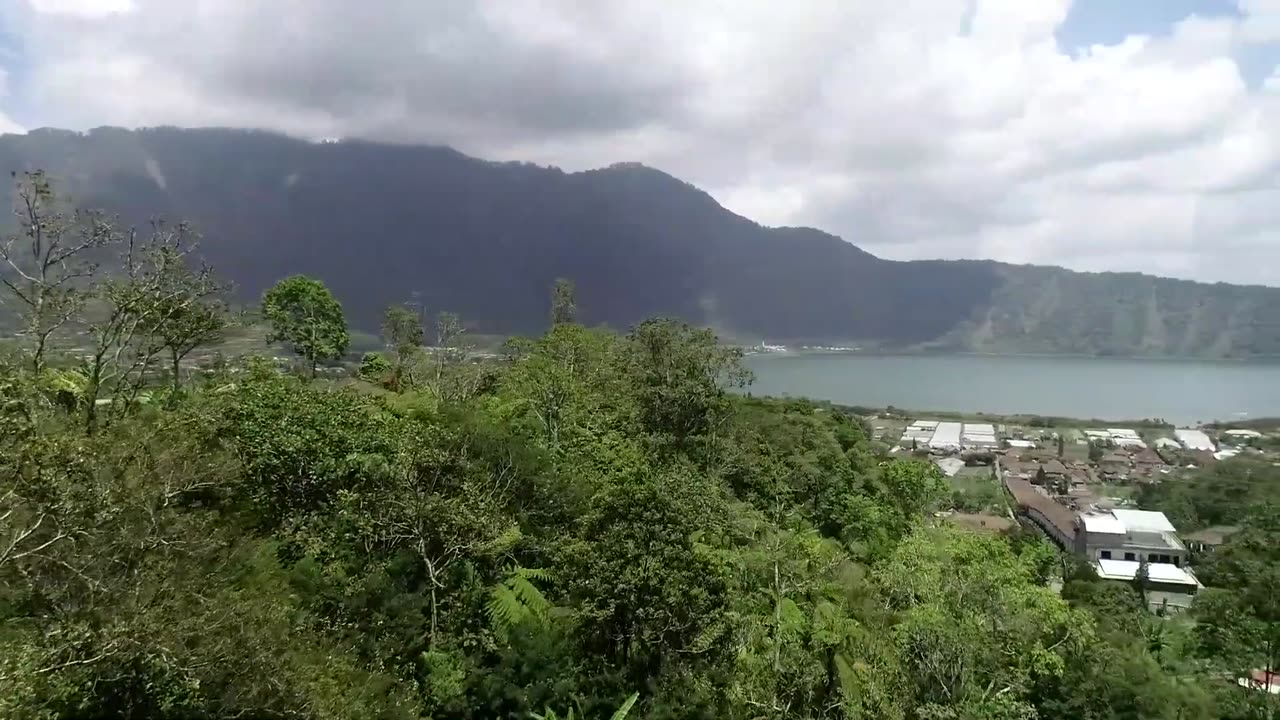 Indonesia | Beach | Mountains | Bali | Fields