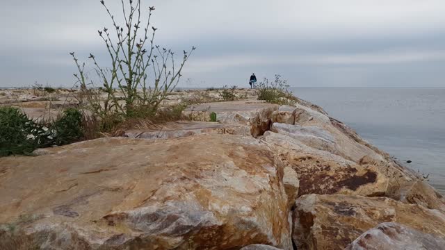 Landscape & Water