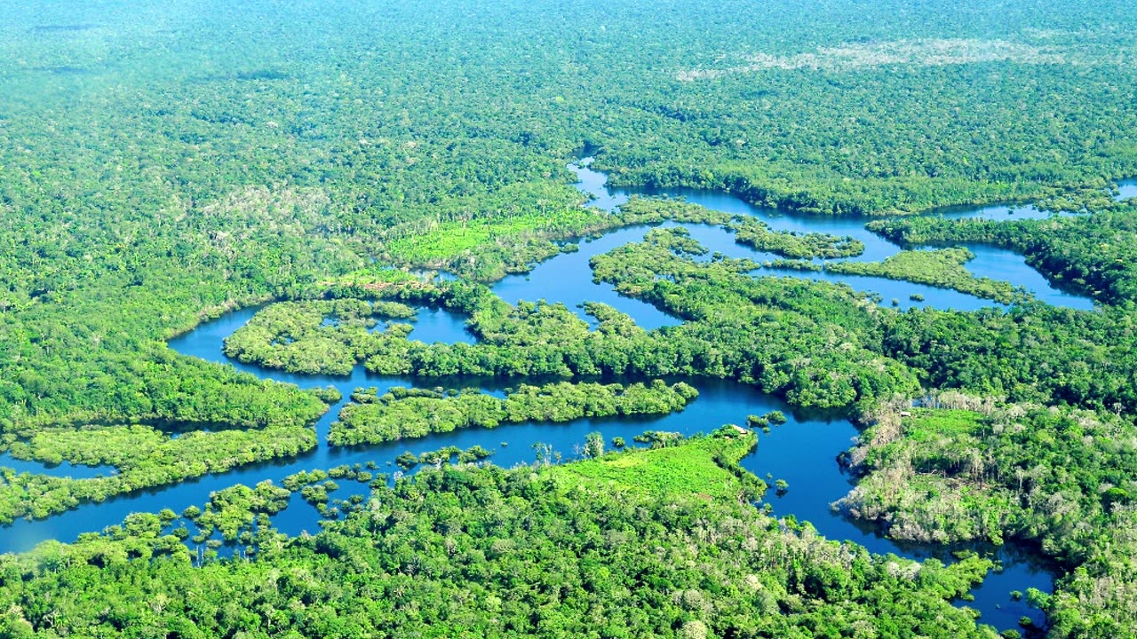 Amazon Rainforest short Knowledge