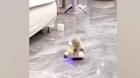New Funny Animals 2023 😍😁 Funniest Cats and Dogs Videos 😹🐶