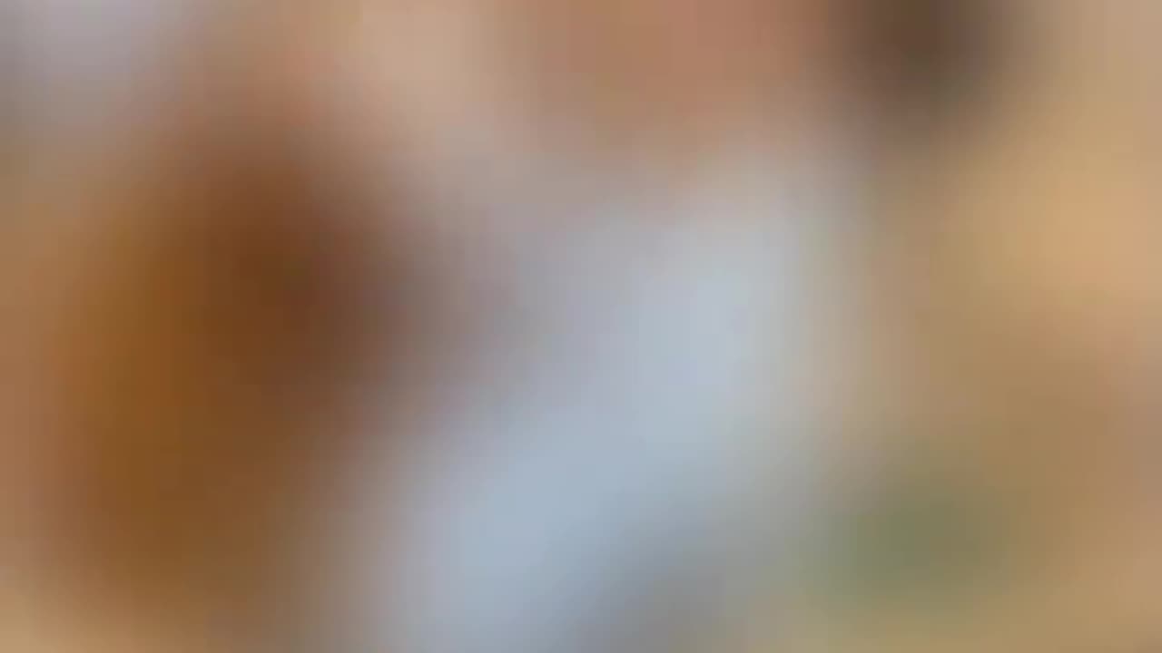 Best Animals in the world 😋😍❤