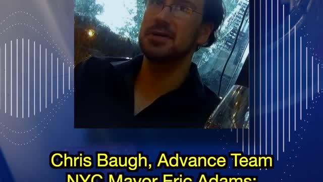 Bongino Show On Project Veritas - New York Woe's!!