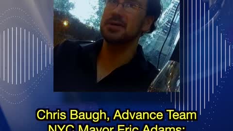 Bongino Show On Project Veritas - New York Woe's!!