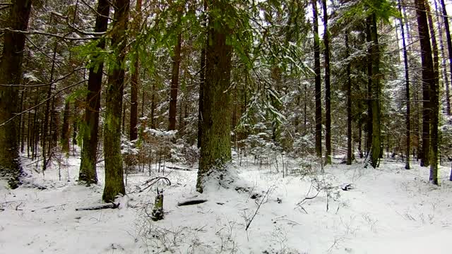 Natural Scenery in Snow Scenery-12