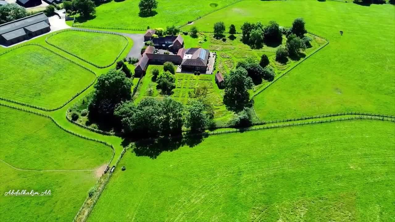 Relaxing Music | Sleeping, Meditation, Stress Relief | [1037] ⭐️