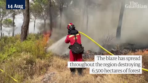 Wildfires tear through forests in Spain's south-eastern Valencia region