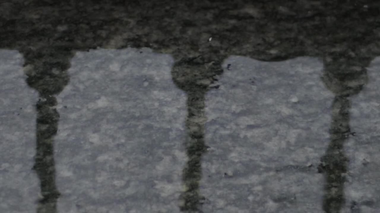 Rain