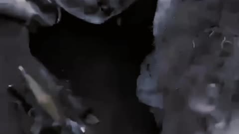 Intese Combat Footage from Ukrainian Militant