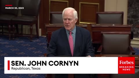 'I Don't Know How That Can Possibly Be True!'- GOP Senator Rips 'Clueless' Mayorkas