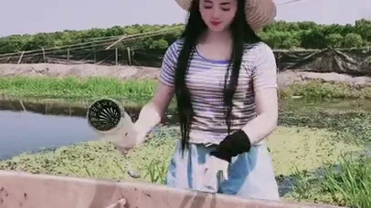 Brave Lady Caught Eels 🐟 Best Asian Fishing Technique 🐟 #shorts