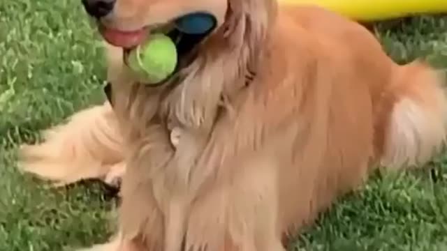 😂