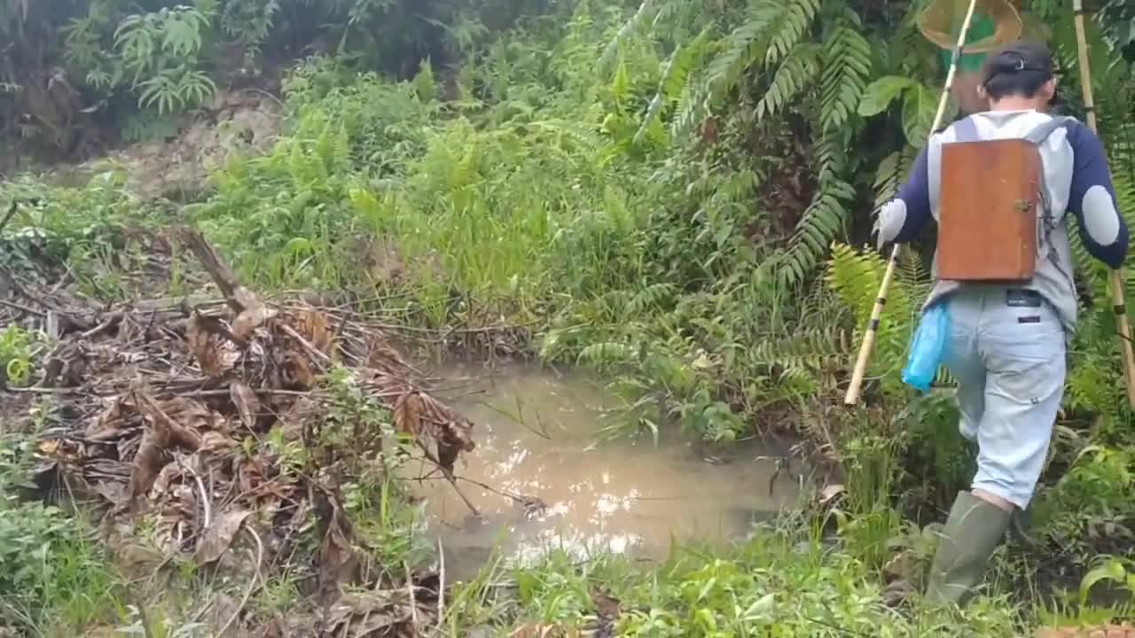 nyetrum ikan dirawa berlumpur_wow hasilnya...!!!-1
