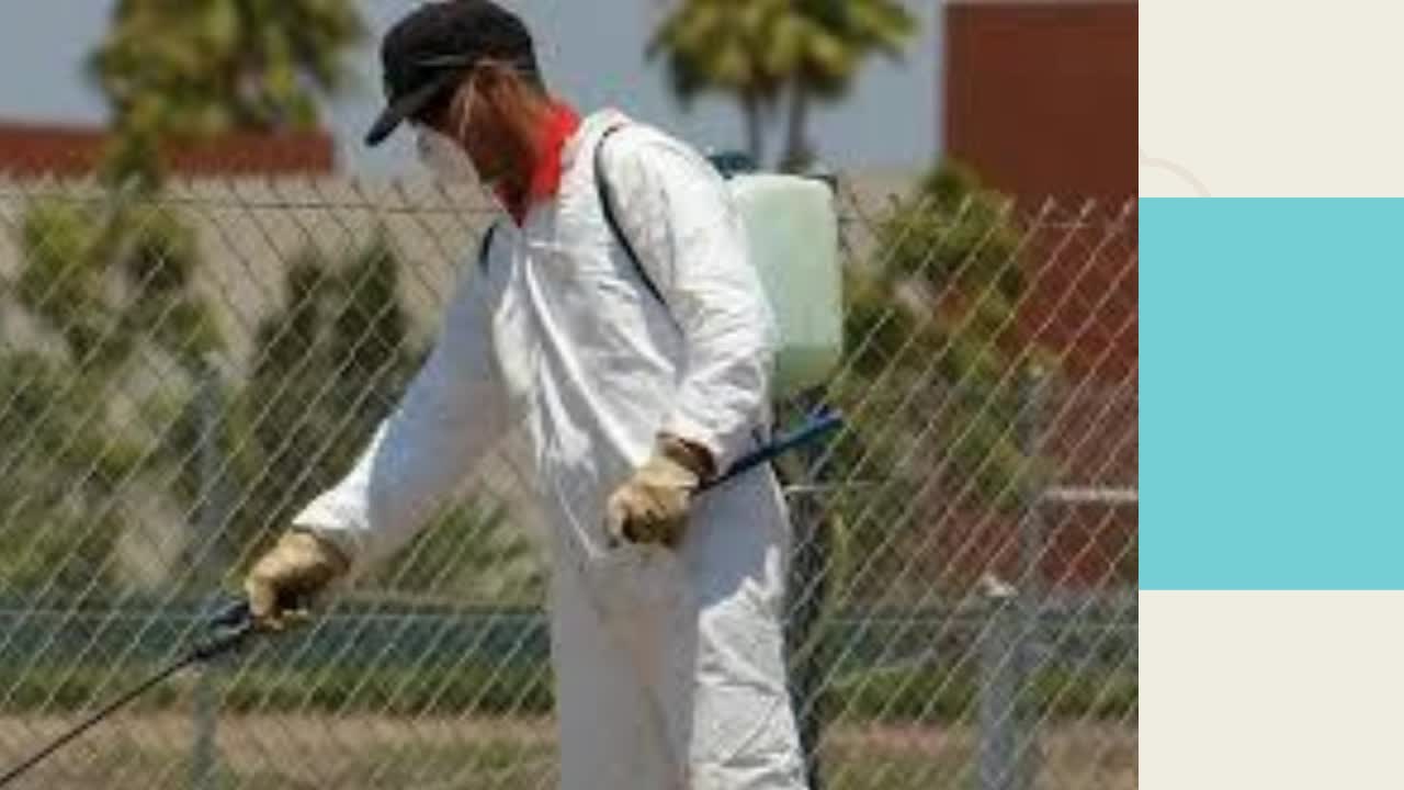 شركات مكافحة الحشرات بالمدينة المنورة