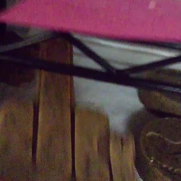 Coconut Milk Soap and New Molds.