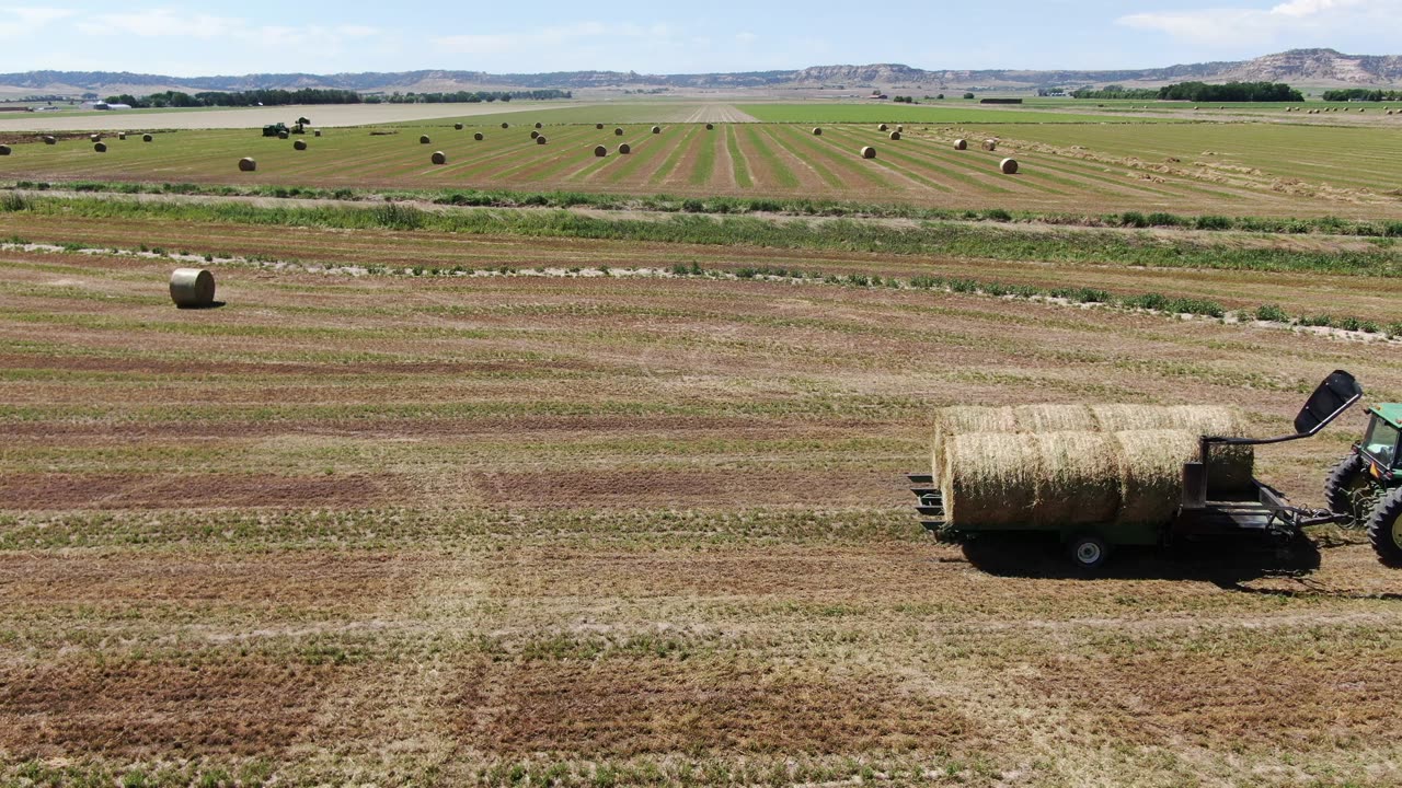 Chance picking up bales