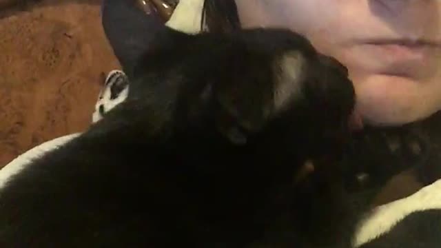 she licks me