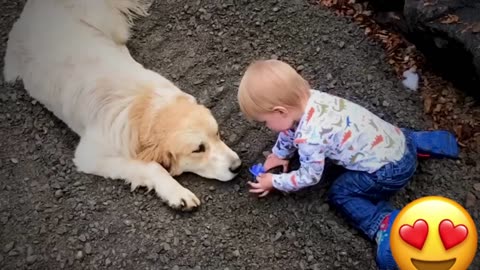 Adorable Babies Playing With Dogs Compilation - Funny Baby And Dog Videos || Just Laugh