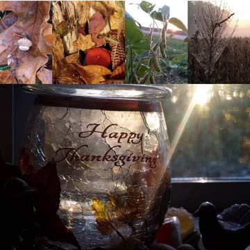 Happy Thanksgiving Everyone😊