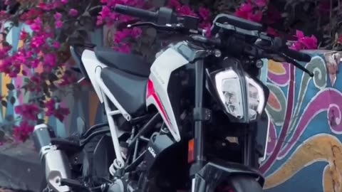 Ktm duke bike look