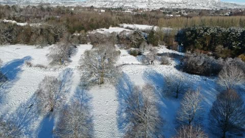 Northern Ireland snow