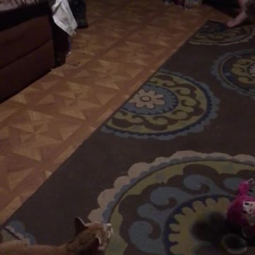 Peaches loves he’s Monkey