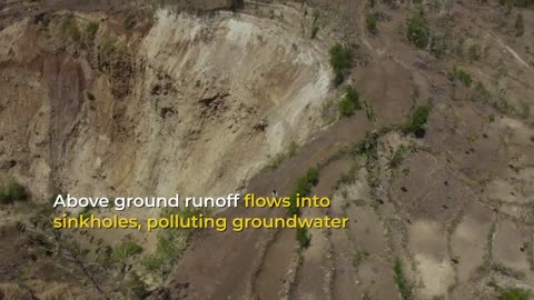 INDONESIA'S SECRET FORESTS Underground water world