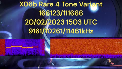 X06b Rare 4 Tone Variant 166123/111666 20/02/2023 1503 UTC 9161/10261/11461kHz