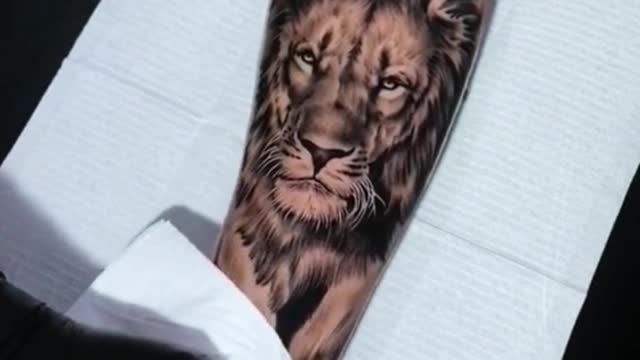 The lion tattoo