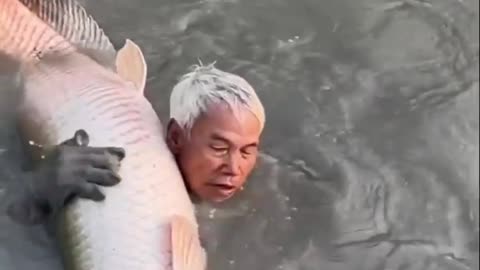 Fish fight
