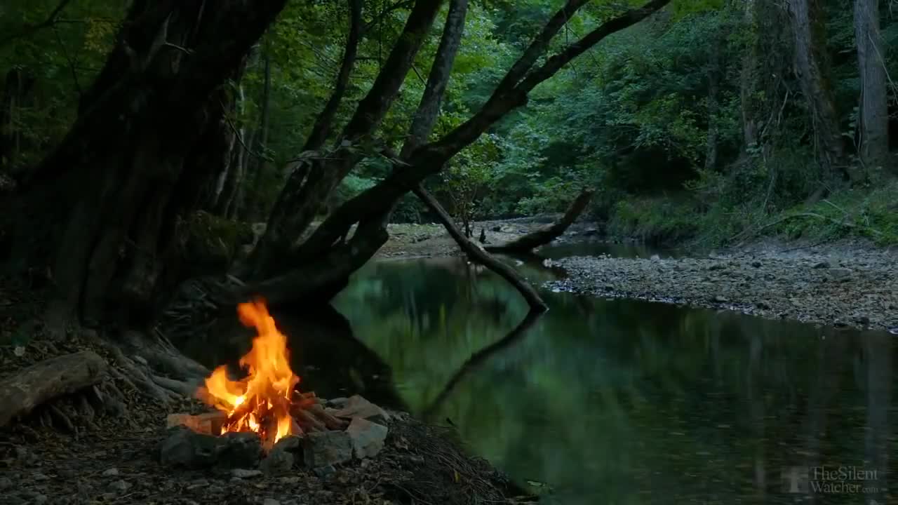 ! Relaxing sounds of Campfire by the river, nature sounds HD Relaxing Music