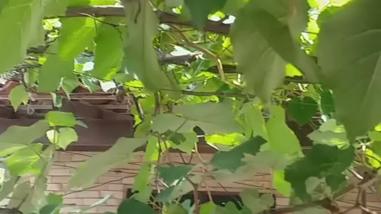 VISIT PARDAL MY HOME