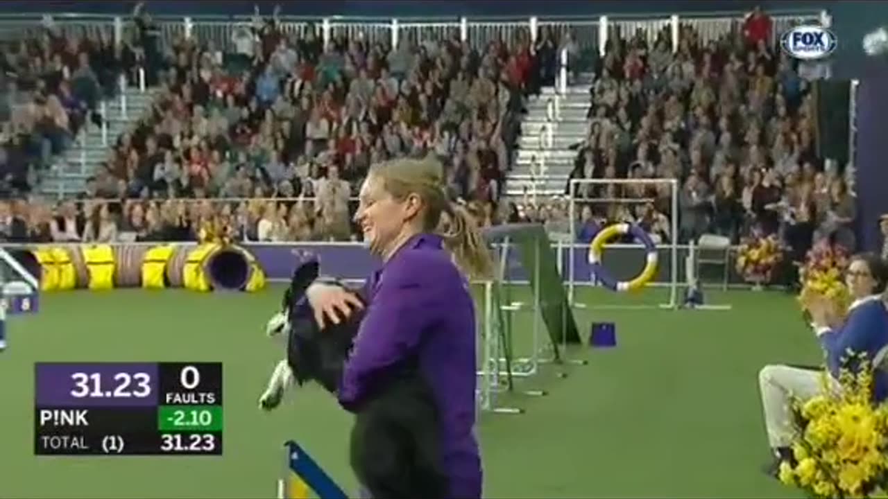 Border collie wins agility contest