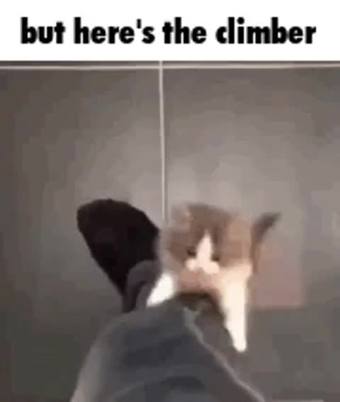 The Climber
