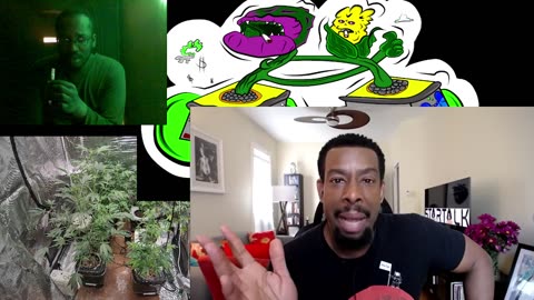 refer madness weed in sports