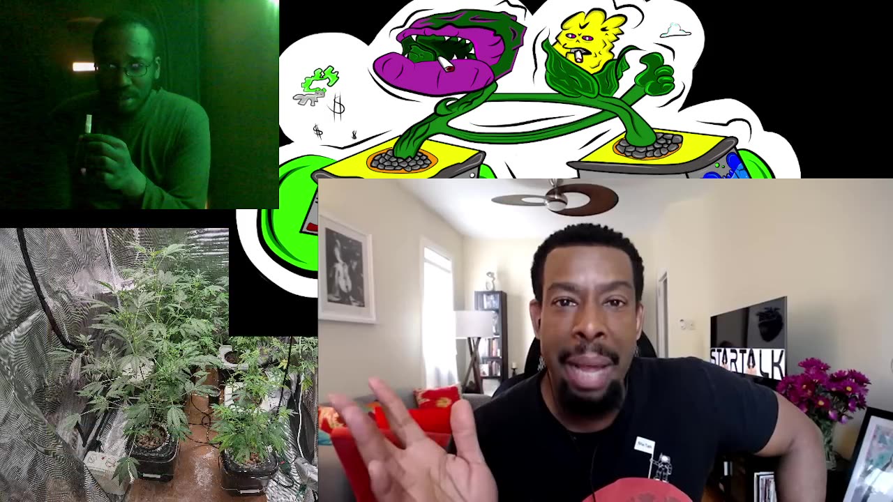 refer madness weed in sports