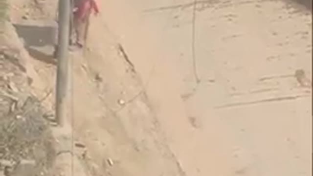 Kid don't want to go to school