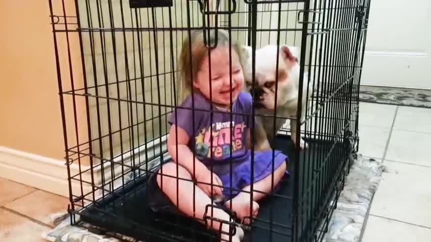 Cute Dogs and Babies are Best Friends