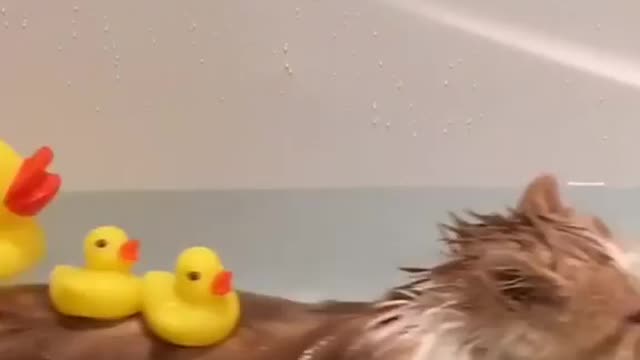 exoticrichard Splish splash I was taking a bath