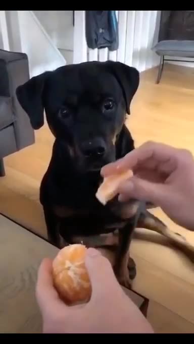 I can taste with my eyes my drool