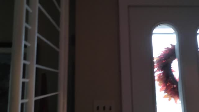 House 5