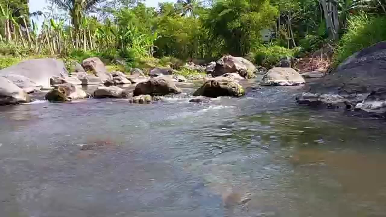 NO MUSIC - 1 hour in the river with gentle water