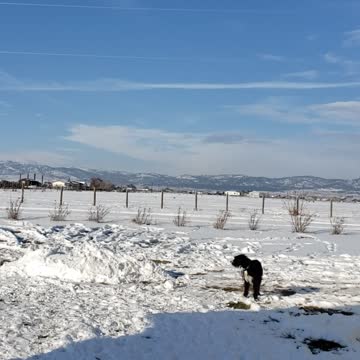 Winter chemtrails in montana