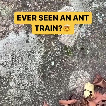 COULDN’T BELIEVE OUR EYES!👀