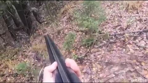 Hunter vs Bear