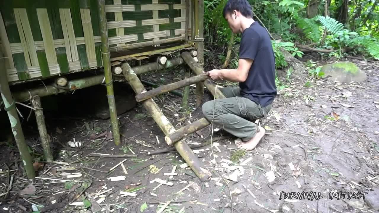 SURVIE IN THE TROPICAL RAINFOREST, EPISODE 3, FINISHING THE SHAINT AND ANIMAL TRAPS