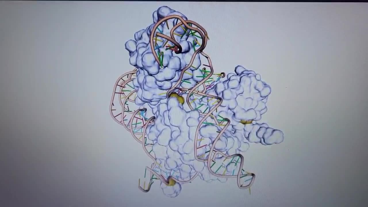 AllicinV Disables Telomerase Relative to Cancer Cell Programming